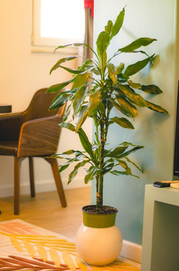 Bright Apartment Close To City Center טיראנה מראה חיצוני תמונה